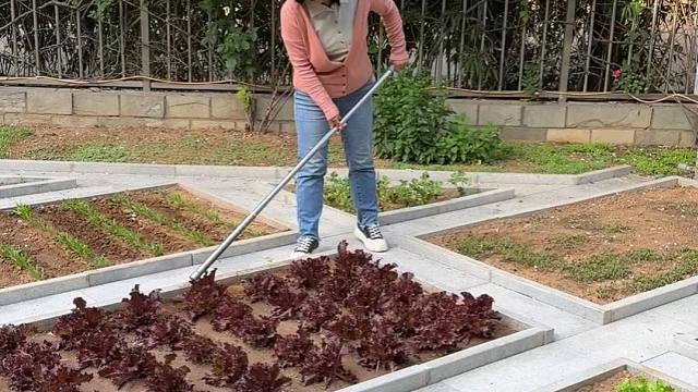 又是收获满满的一天呀