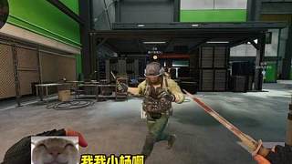 主播塌房了，終于出心了