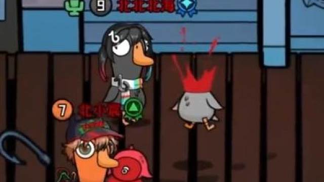 发现两个红名，是大鹅！