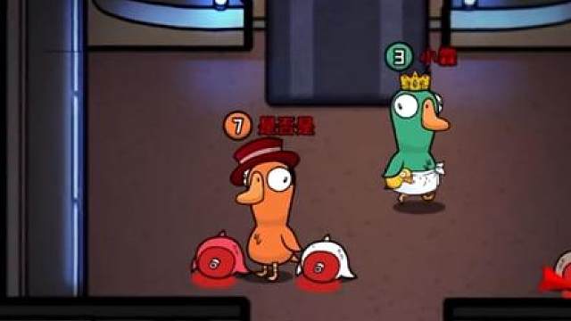 红名鸭？红名鹅？