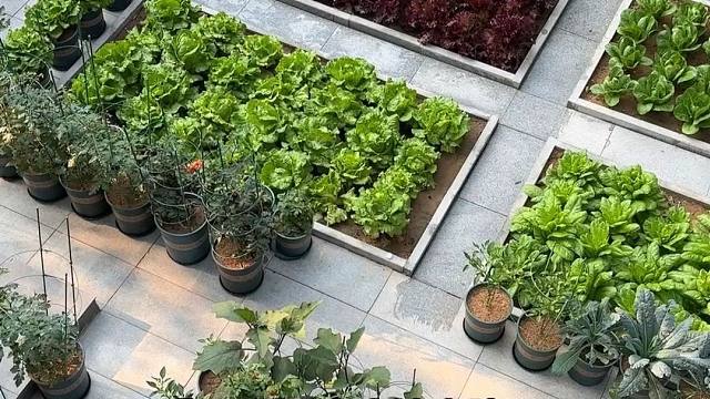 这样的小院生活，你喜欢吗？