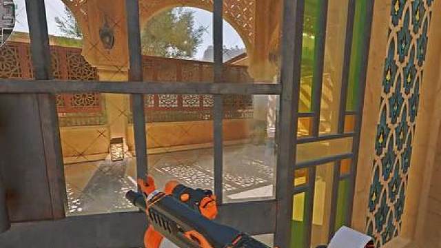 威龙保险里塞的难道是？？