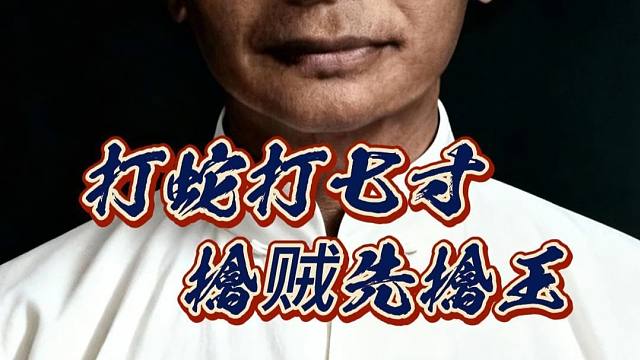 打蛇打七寸擒贼先擒王，棋仙钟珍后手应中炮过河车经典对局解说