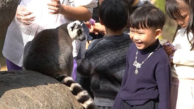 春节亲子游玩好去处