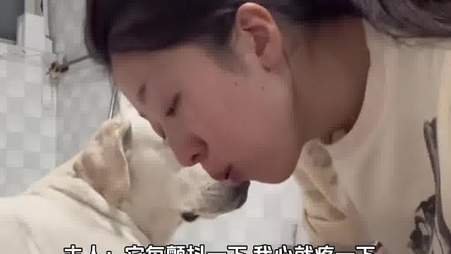 从来都不是它需要我 是我需要它 对于狗狗来说你就是它的全部