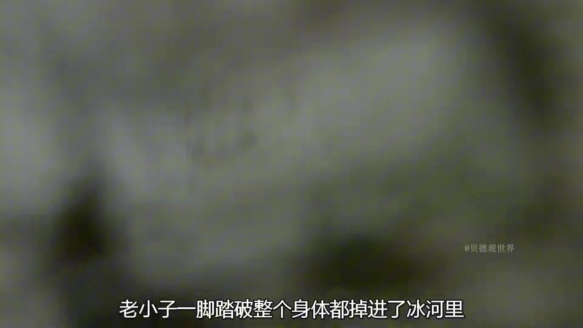 德子我国长白山荒野求生，吃上清蒸虹鳟鱼，自制进口小松饼 (3)