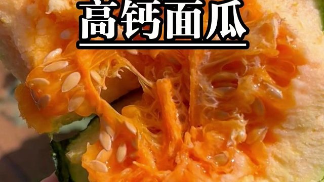 粉面甜香，软糯绵蜜的高钙面瓜，春天正是种植好时候！