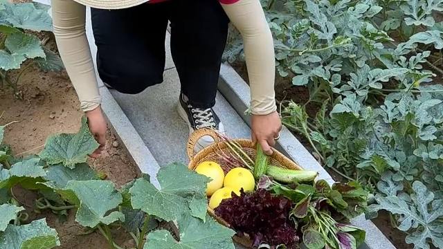 不和别人攀比啥，过好自己就行