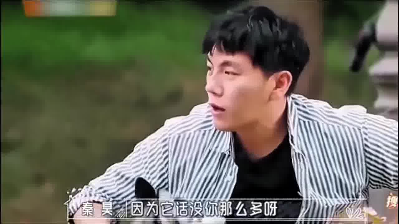 伊能静它不说话你会娶它吗