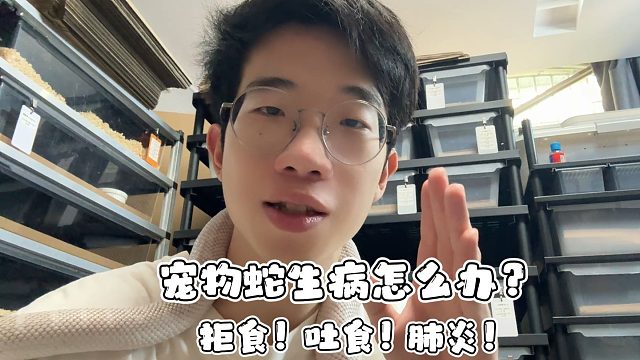 宠物蛇生病该怎么办！没事我教你处理