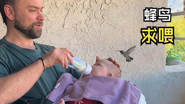 那些有爱的动物视频！