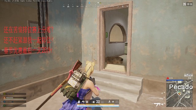 带着队友芯片杀出P城