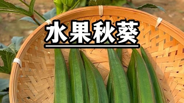 秋葵别再外边买了，种几颗就吃不清