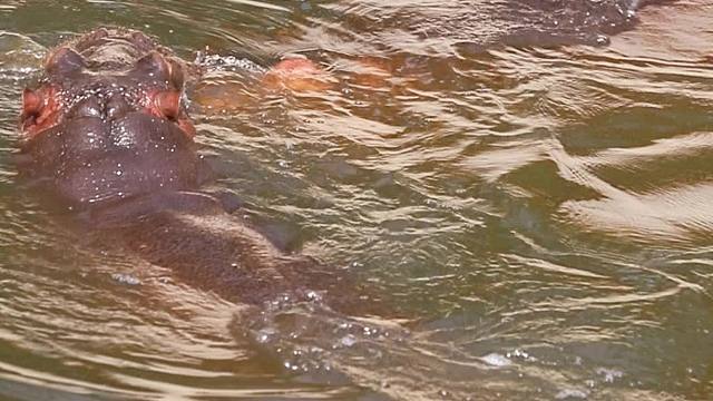 给自己生了一个小魔丸