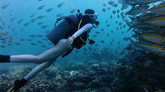 【徐娇】震撼！人生第一次潜水