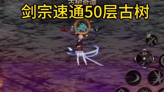 剑宗古树50层速通