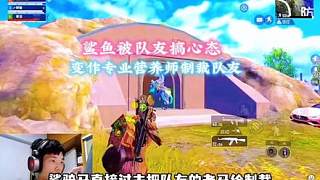 鯊魚被隊友搞心態(tài)，變作專業(yè)營養(yǎng)師制裁隊友