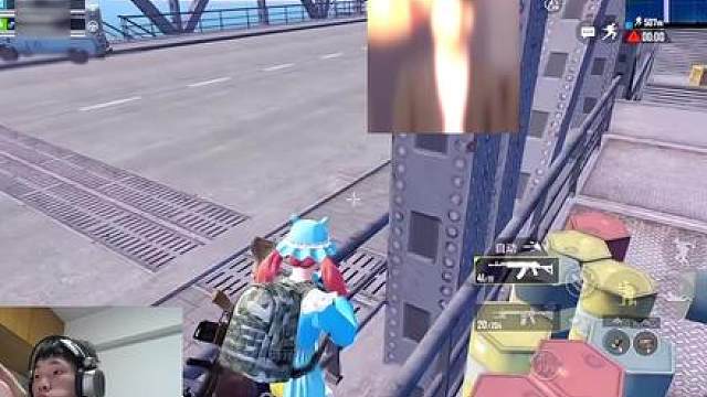 鲨鱼是怎么也没想到堵了两年半的桥没等到人