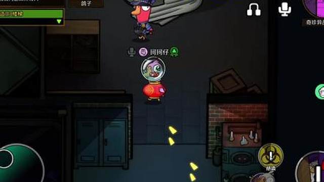 谁知道这鸽子怎么赢的