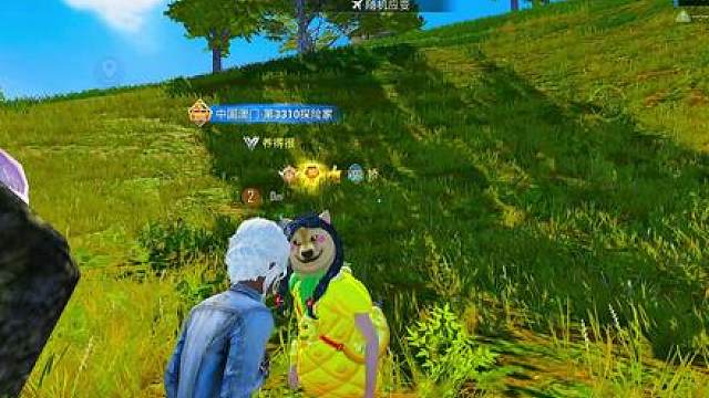 也是在雨林过上了两狗一人的幸福生活了