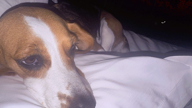 11日海南环岛达成！