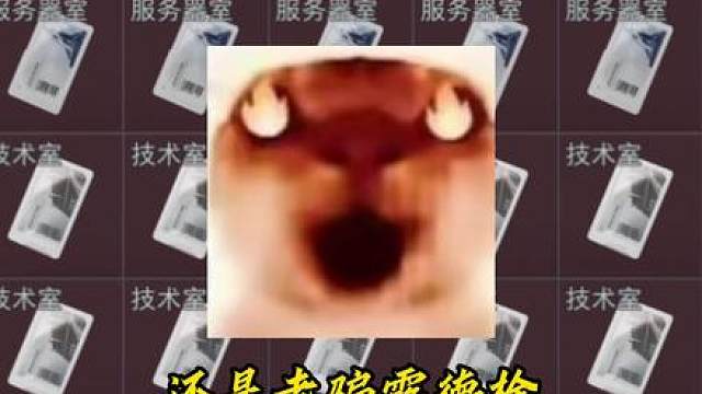 我是文案我很狂