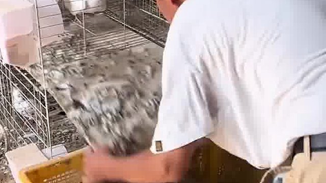 装回去就麻烦了