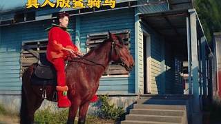 005集真人版鯊騎馬！你們都看短劇了嗎？