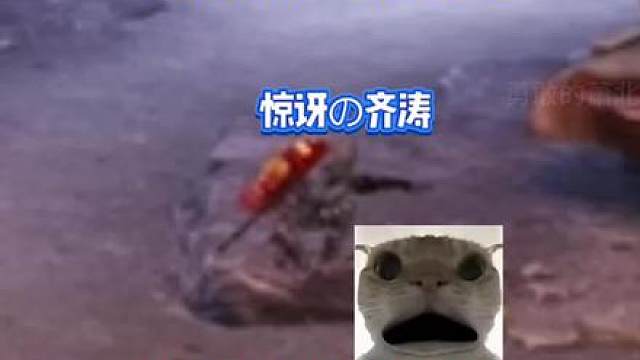 怒兆火山老鼠流9.0，惊讶的齐涛！