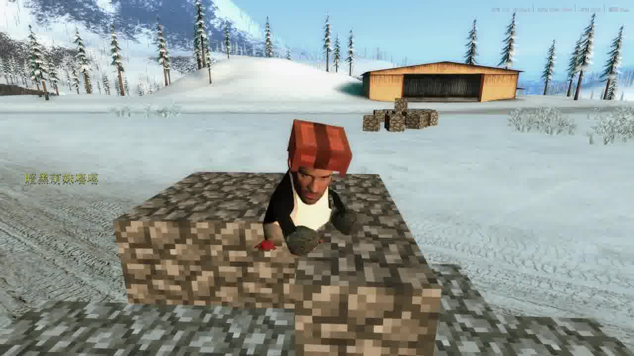 penguin哈基蜂拾粪