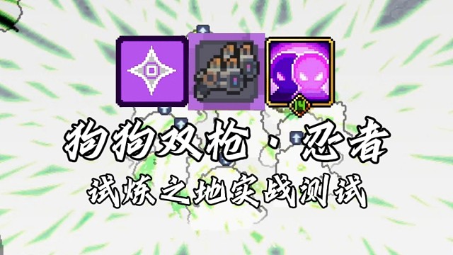 【元气骑士前传】狗狗双枪·忍者 试炼之地实战测试