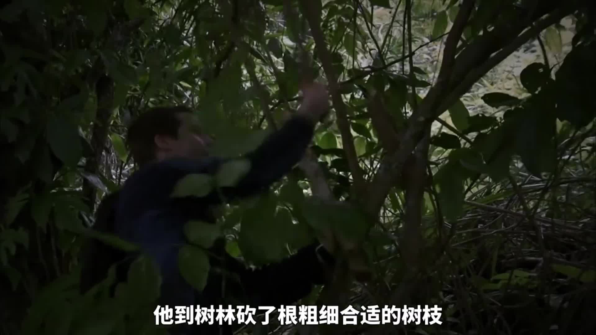 贝爷马来西亚群岛荒野求生，抓澳龙刺鳐捕获野猪，伙食好的像度假