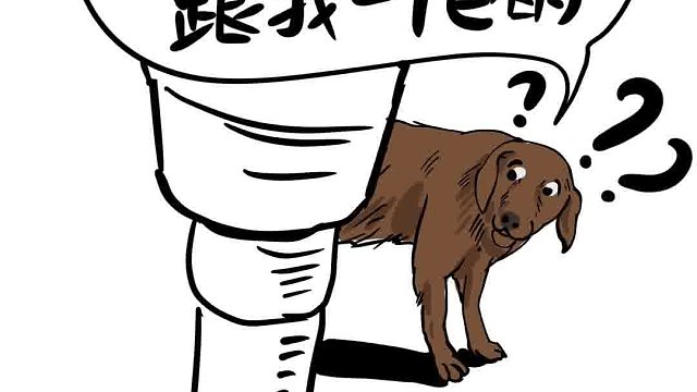 当金毛看见外国人？？多少有点不太礼貌