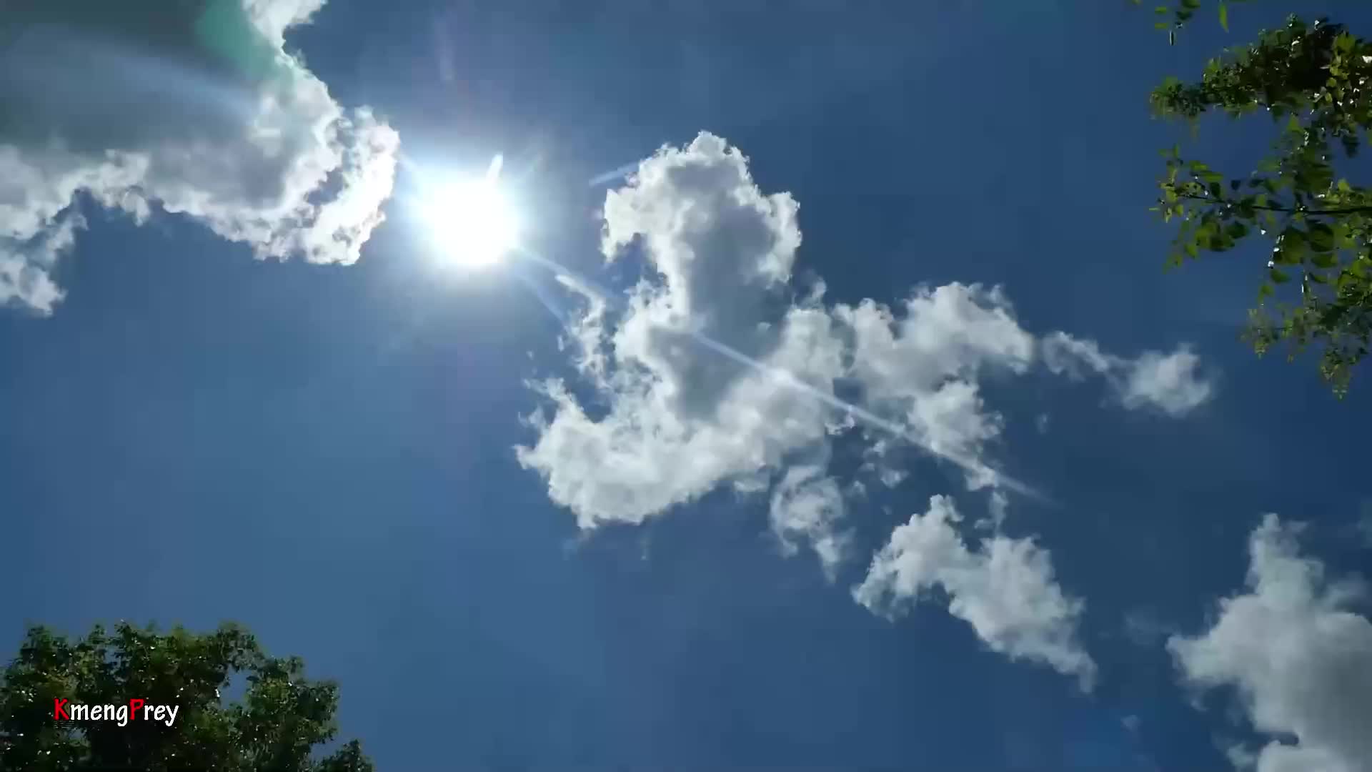 20260226 原始技术——吃秀；煮猪头好吃