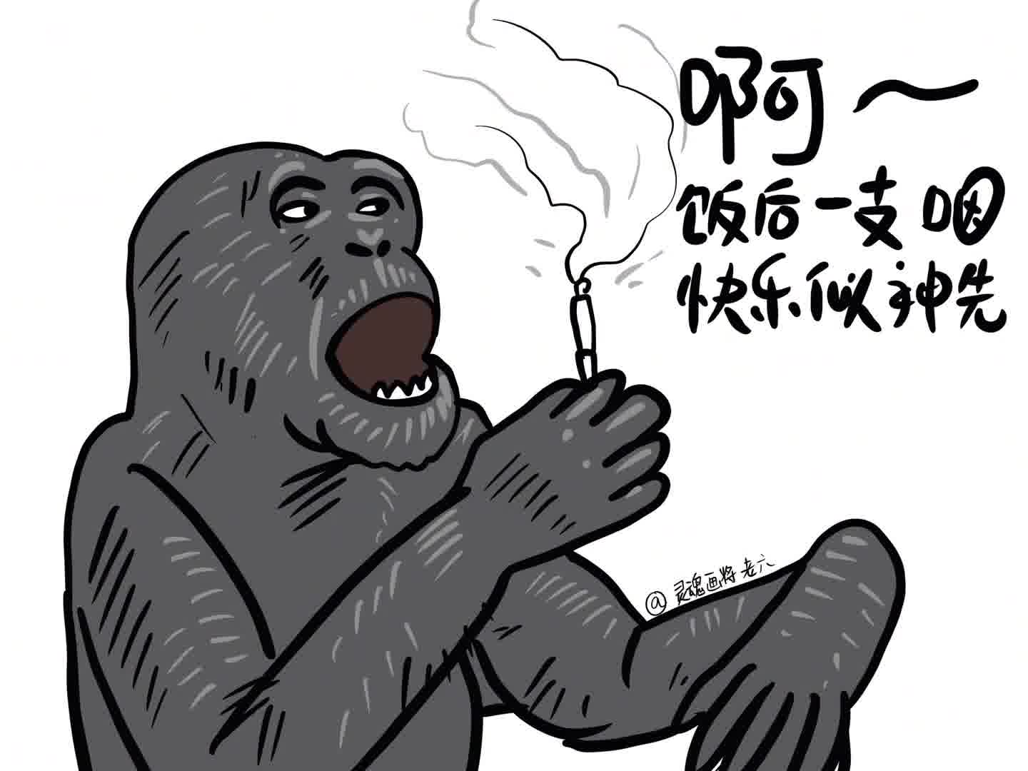 饭后的精神食粮～猩哥也是懂得享受生活的