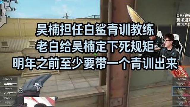 吴楠担任白鲨青训教练,老白给吴楠定下死规矩,明年之前至少要带一个青训出来，很多人评价白鲨有几个青训很厉害有潜力