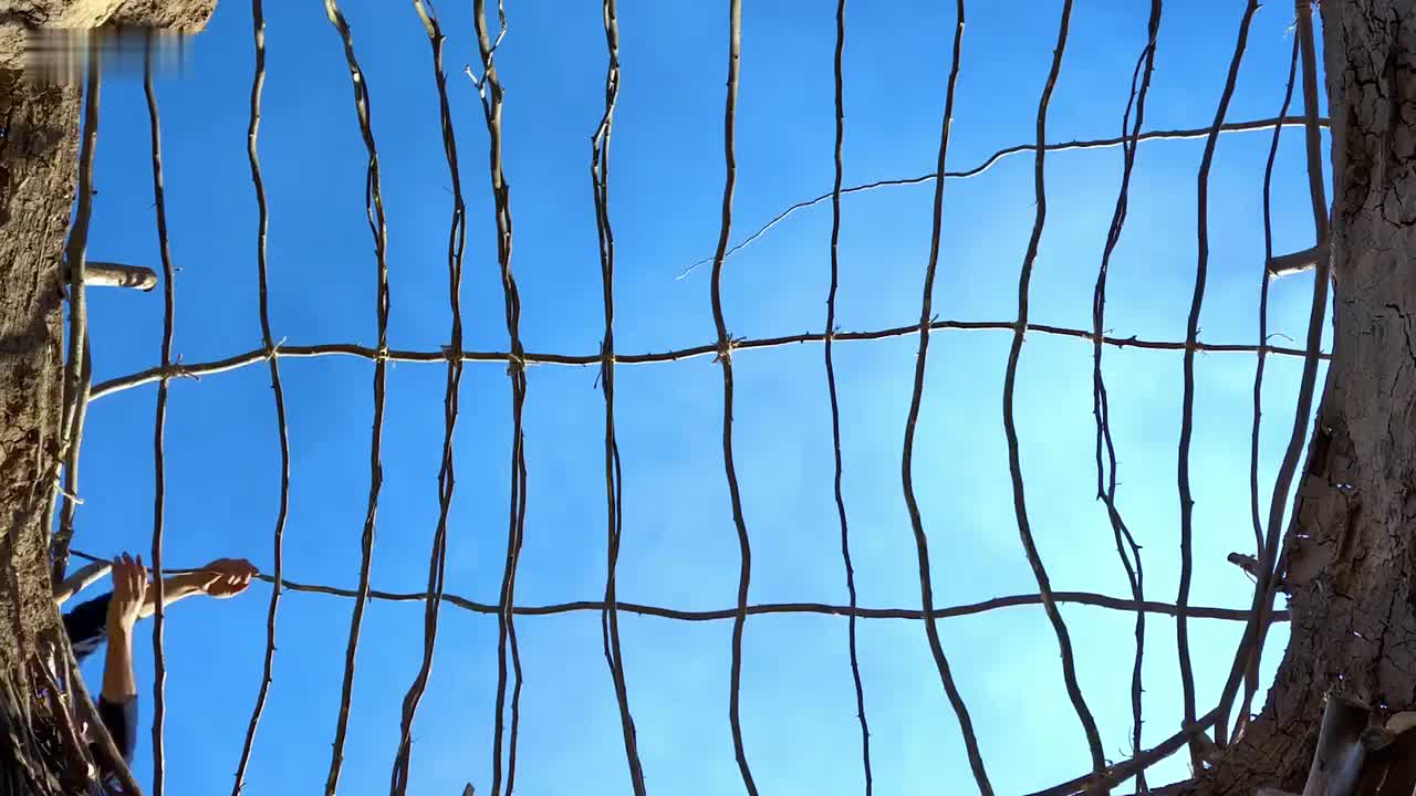 在野外，给你一个这样的小屋，你愿意住多久