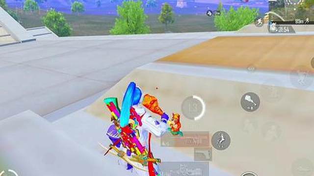 我的狗又犯病了