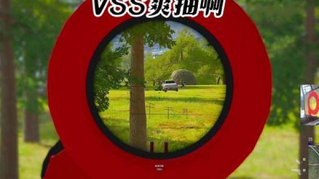 VSS加喷子能吃鸡吗？