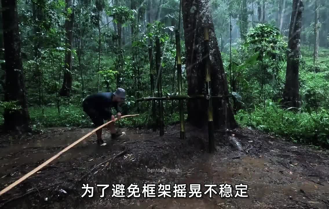 男人凭借保鲜膜和古树，就在雨林建造出一座庇护所。