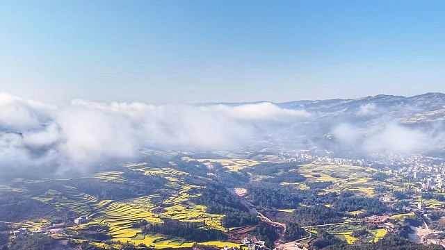 晴空下的油菜花