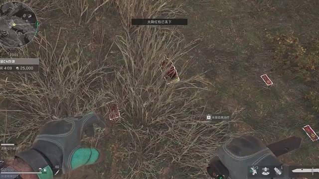 烟花放的爽歪歪