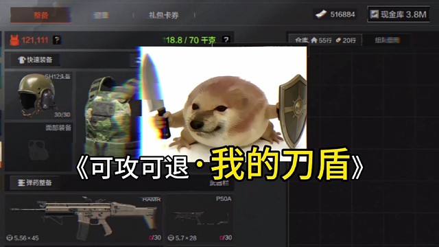 《 可攻可退·我的刀盾》#暗区突围日常 #暗区突围 #狙仔