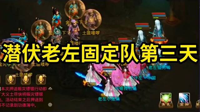 问道手游：地平线最强固定队