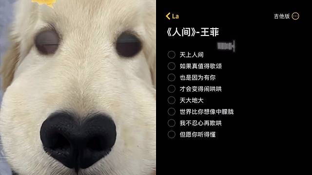 天上人间如果真值得歌颂