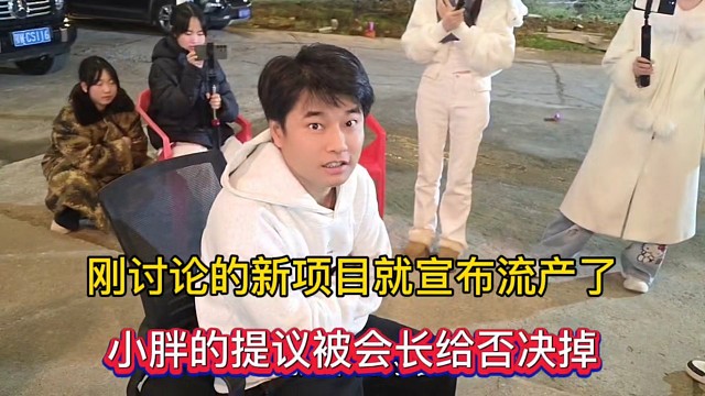 刚讨论的新项目就宣布流产了，小胖的提议被会长给否决掉！