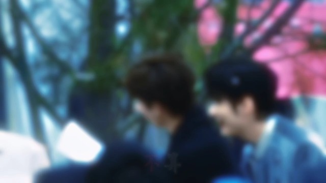 我的心借了你的光是明是暗