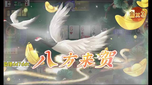 斗地主八雀专场~