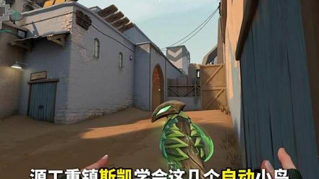 源工重镇顶级进攻自动小鸟，学会队友轻松进点，爽拿人头