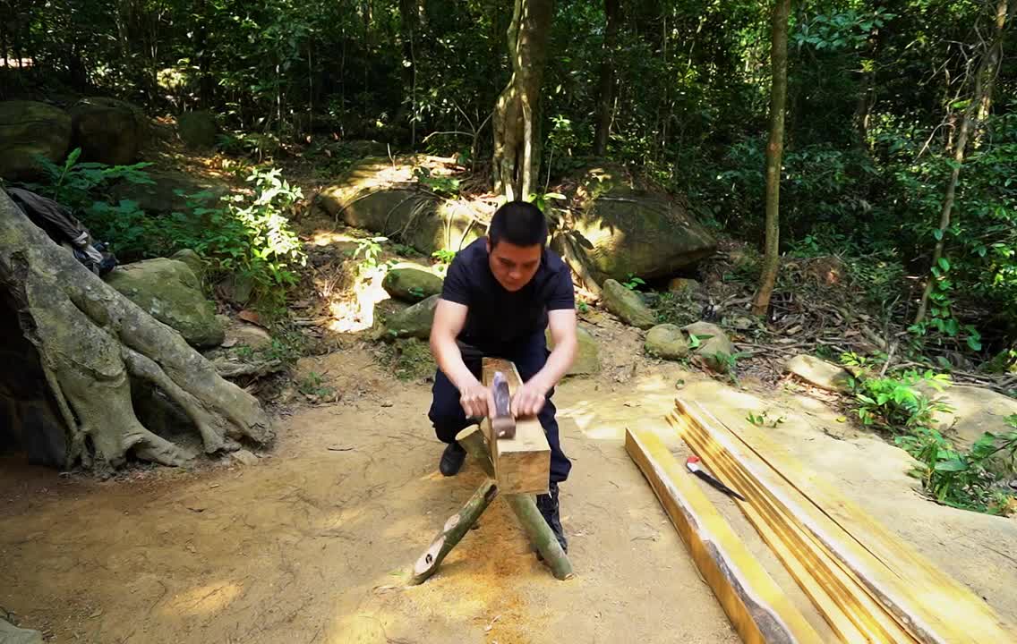 一颗千年橡树的树洞，看到改造结束绝对直呼梦中树屋。